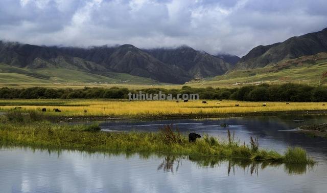 速写校园风景速写校园风景临摹