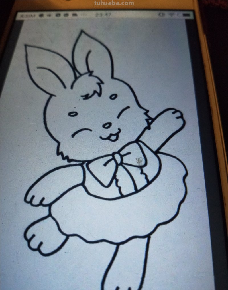 速写动物简单速写动物简单 初学者