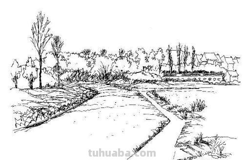 怎样画技巧速写怎样画技巧速写图片