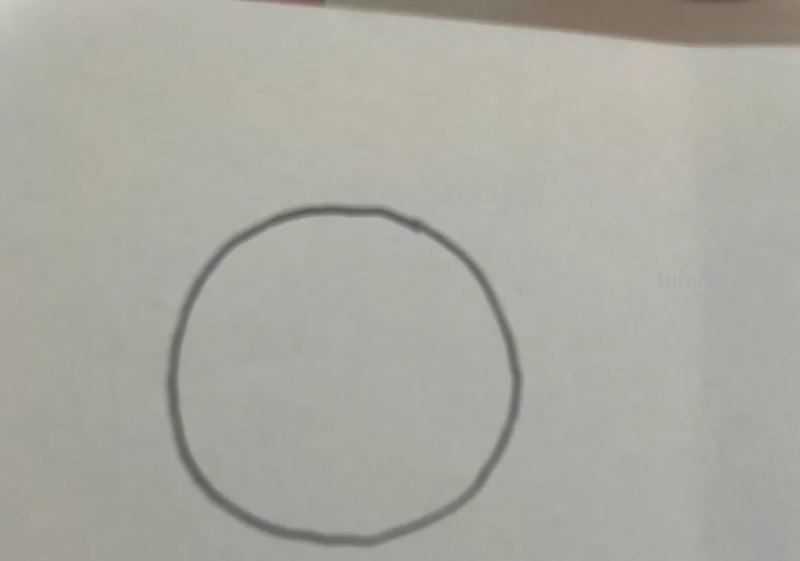 速写玫瑰花速写玫瑰花图片大全