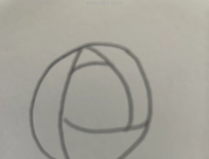 速写玫瑰花速写玫瑰花图片大全