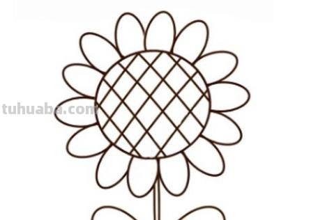 向日葵速写向日葵速写图片