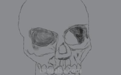 骷髅头速写骷髅头速写图片