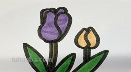 百合花速写百合花速写图片 百合花速写百合花速写图片