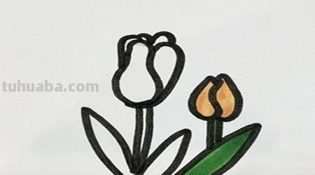 百合花速写百合花速写图片 百合花速写百合花速写图片