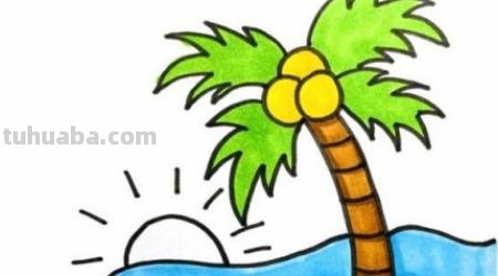 椰子树速写椰子树速写图片