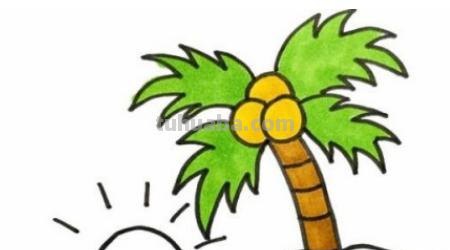 椰子树速写椰子树速写图片