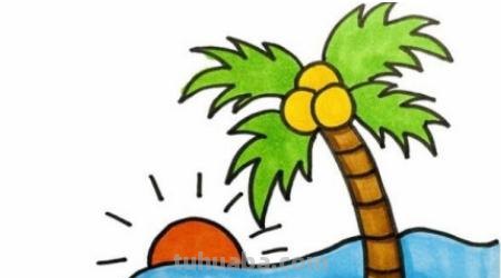 椰子树速写椰子树速写图片