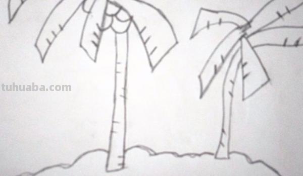 椰子树速写椰子树速写图片