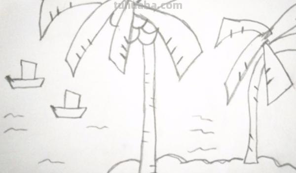 椰子树速写椰子树速写图片