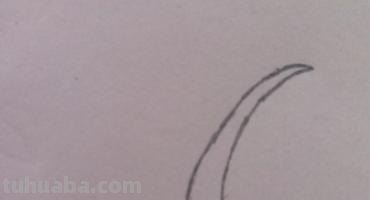 椰子树速写椰子树速写图片