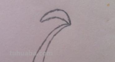 椰子树速写椰子树速写图片