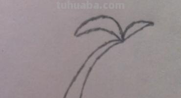 椰子树速写椰子树速写图片