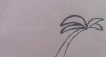 椰子树速写椰子树速写图片