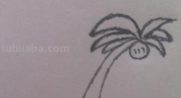 椰子树速写椰子树速写图片