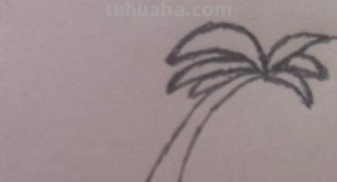 椰子树速写椰子树速写图片