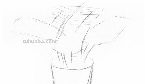 椰子树速写椰子树速写图片