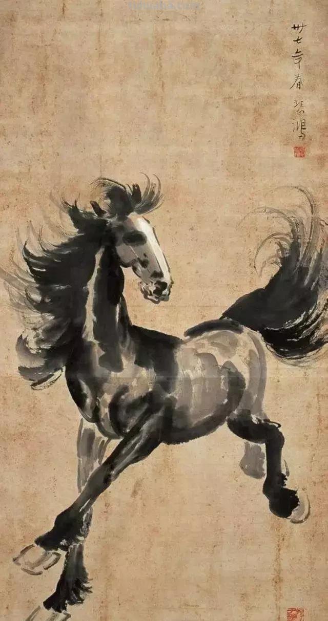 速写的动物速写动物图片