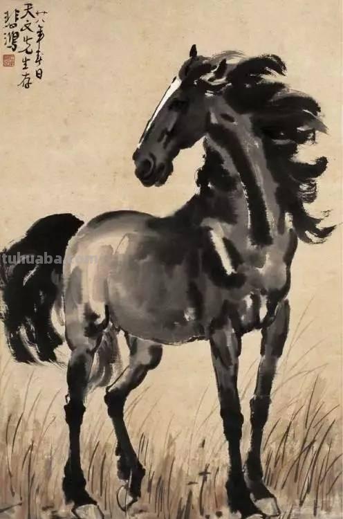 速写的动物速写动物图片