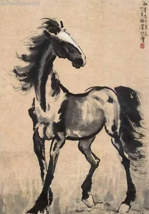 速写的动物速写动物图片