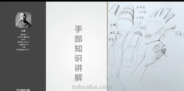 速写结构.人体速写结构