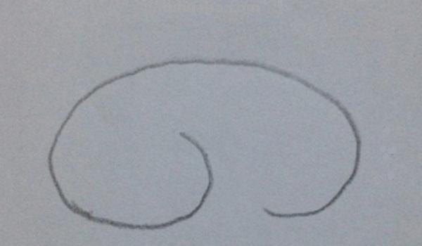 十二生肖速写十二生肖速写画