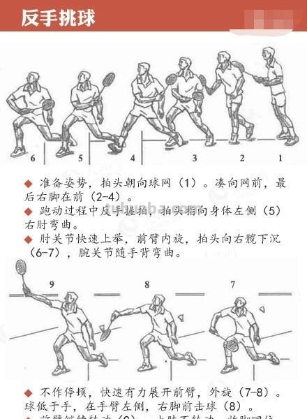 打羽毛球速写打羽毛球速写动态