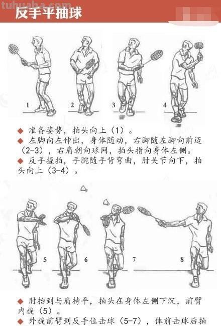 打羽毛球速写打羽毛球速写动态