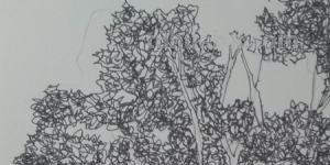 建筑速写树建筑速写树的画法 建筑速写树建筑速写树的画法