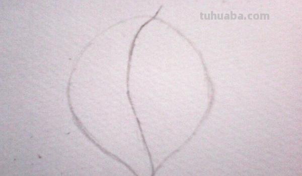 速写树叶的画技巧法速写树叶的画技巧法视频