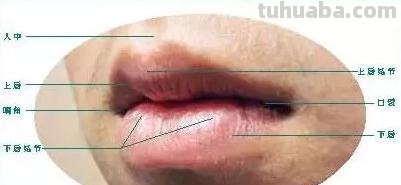 速写嘴巴的画技巧法速写嘴巴的画技巧法视频