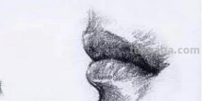 速写嘴巴的画技巧法速写嘴巴的画技巧法视频 速写嘴巴的画技巧法速写嘴巴的画技巧法视频