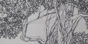 速写的技法速写的技法包括哪几个方面