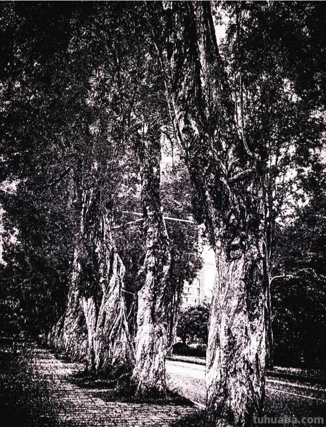 建筑速写 钢笔建筑速写钢笔画