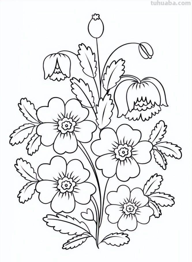 简笔画花卉的画法，分享一些线稿手绘资料