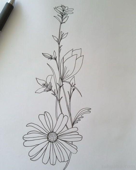 简笔画花卉的画法，分享一些线稿手绘资料