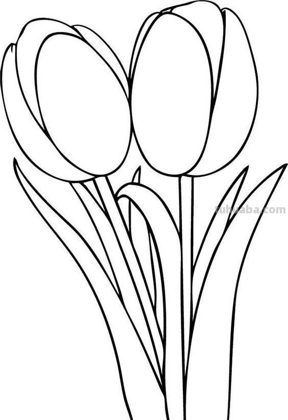 简笔画花卉的画法，分享一些线稿手绘资料