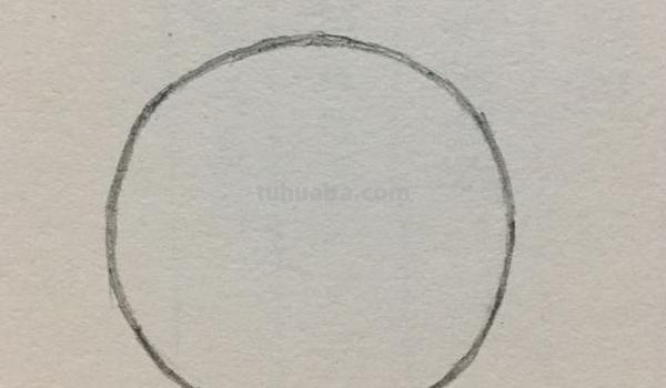 狮子的速写狮子的速写图片