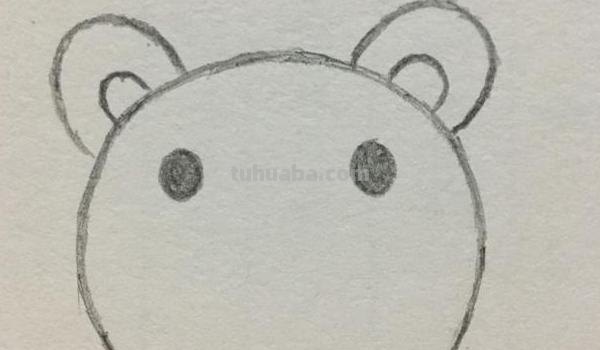 狮子的速写狮子的速写图片