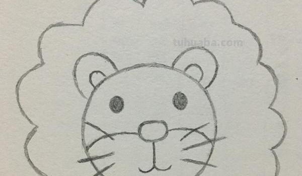 狮子的速写狮子的速写图片