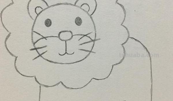 狮子的速写狮子的速写图片