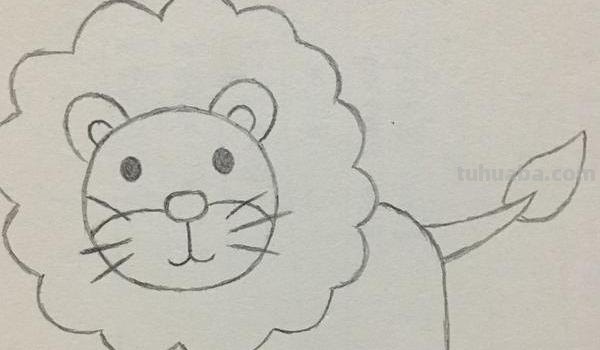 狮子的速写狮子的速写图片