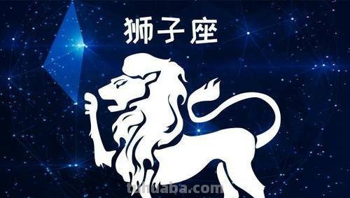 狮子的速写狮子的速写图片