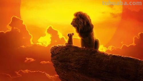 狮子的速写狮子的速写图片