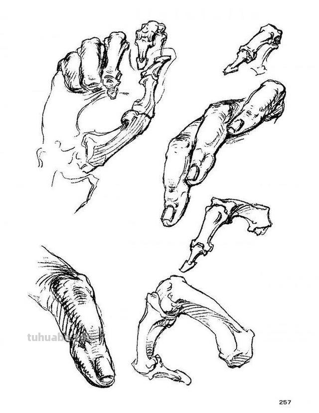 人物速写鞋人物速写鞋子的画法