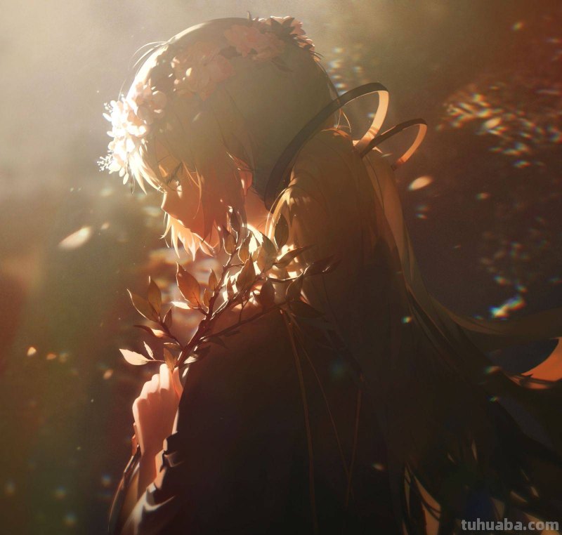 优雅又色气，这期画师技术太绝了|【pixiv】人气排行周榜6月第3期