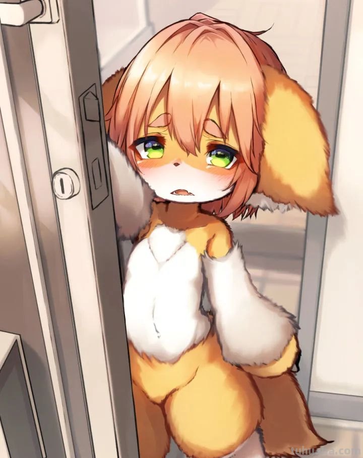 毛茸茸的兽耳福瑞插画壁纸特辑