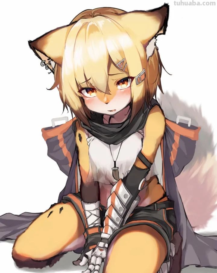 毛茸茸的兽耳福瑞插画壁纸特辑