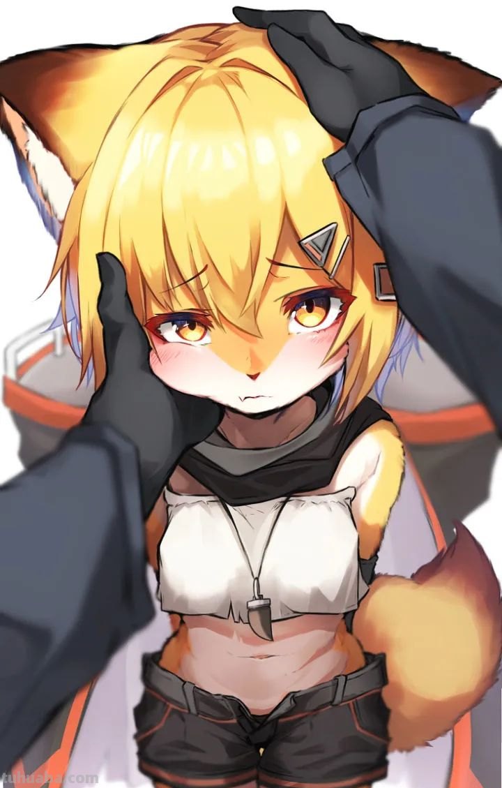 毛茸茸的兽耳福瑞插画壁纸特辑