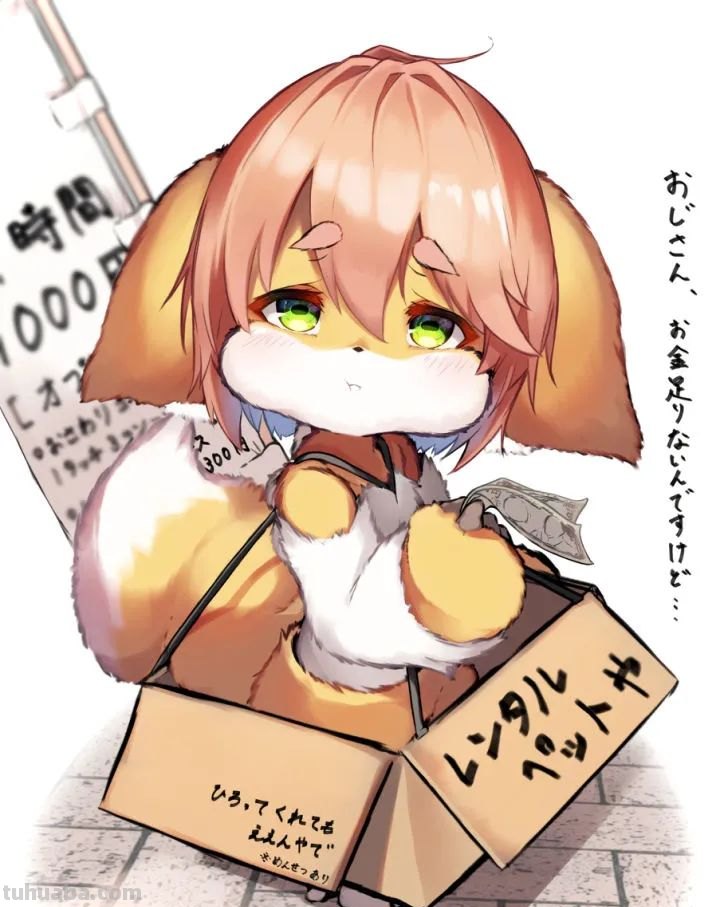 毛茸茸的兽耳福瑞插画壁纸特辑